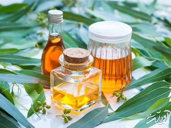 روغن اکالیپتوس